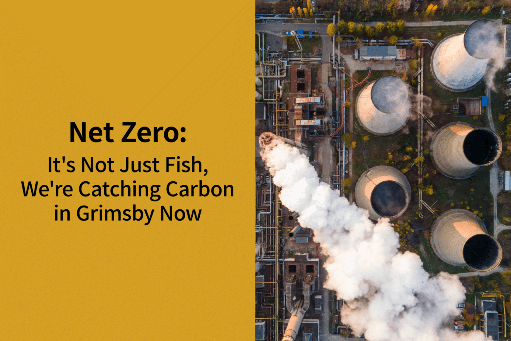 Net Zero: It's Not Just Fish, We're Catching Carbon in Grimsby Now | Coppergate Serviced Accommodation